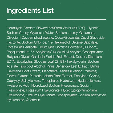 Heartleaf Quercetinol Pore Deep Cleansing Foam